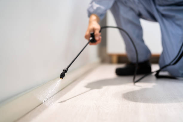 Licensed Mosquito Control service in Woodsboro, TX - Show Me Pest Control