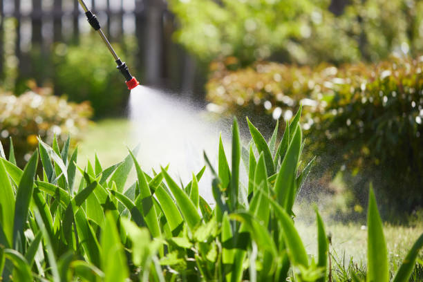 24/7 Emergency Mosquito Control experts in Woodsboro, TX