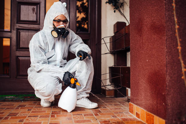 Reliable Mosquito Control contractor in Woodsboro, TX by Show Me Pest Control